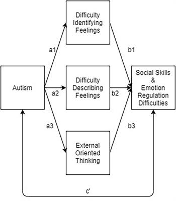 Alexithymia and Autistic Traits: Associations With Social and Emotional Challenges Among College Students